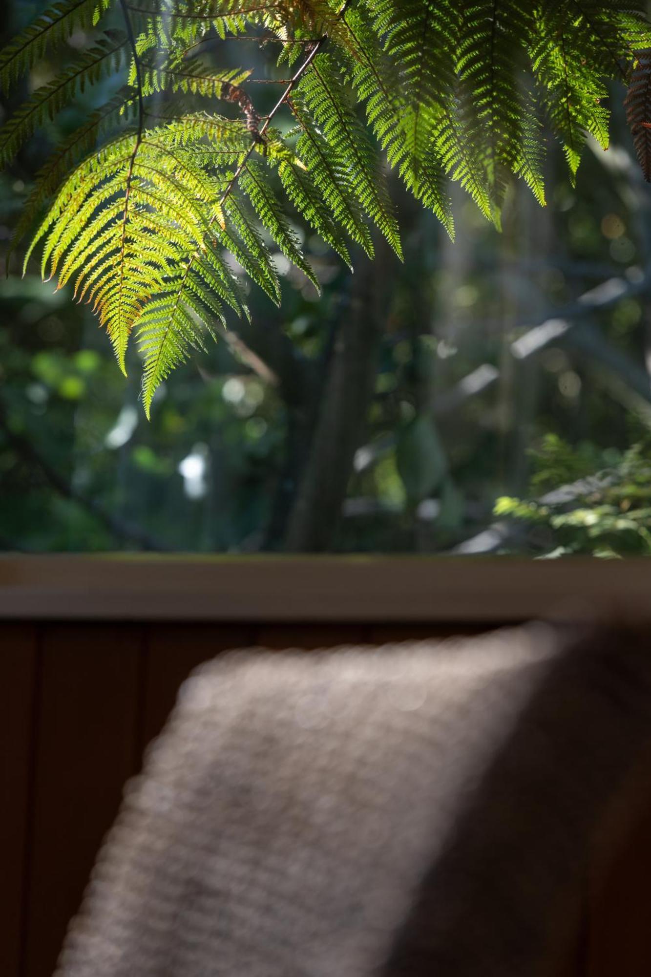 Hidden Hideaway Villa Kaikoura Exterior photo